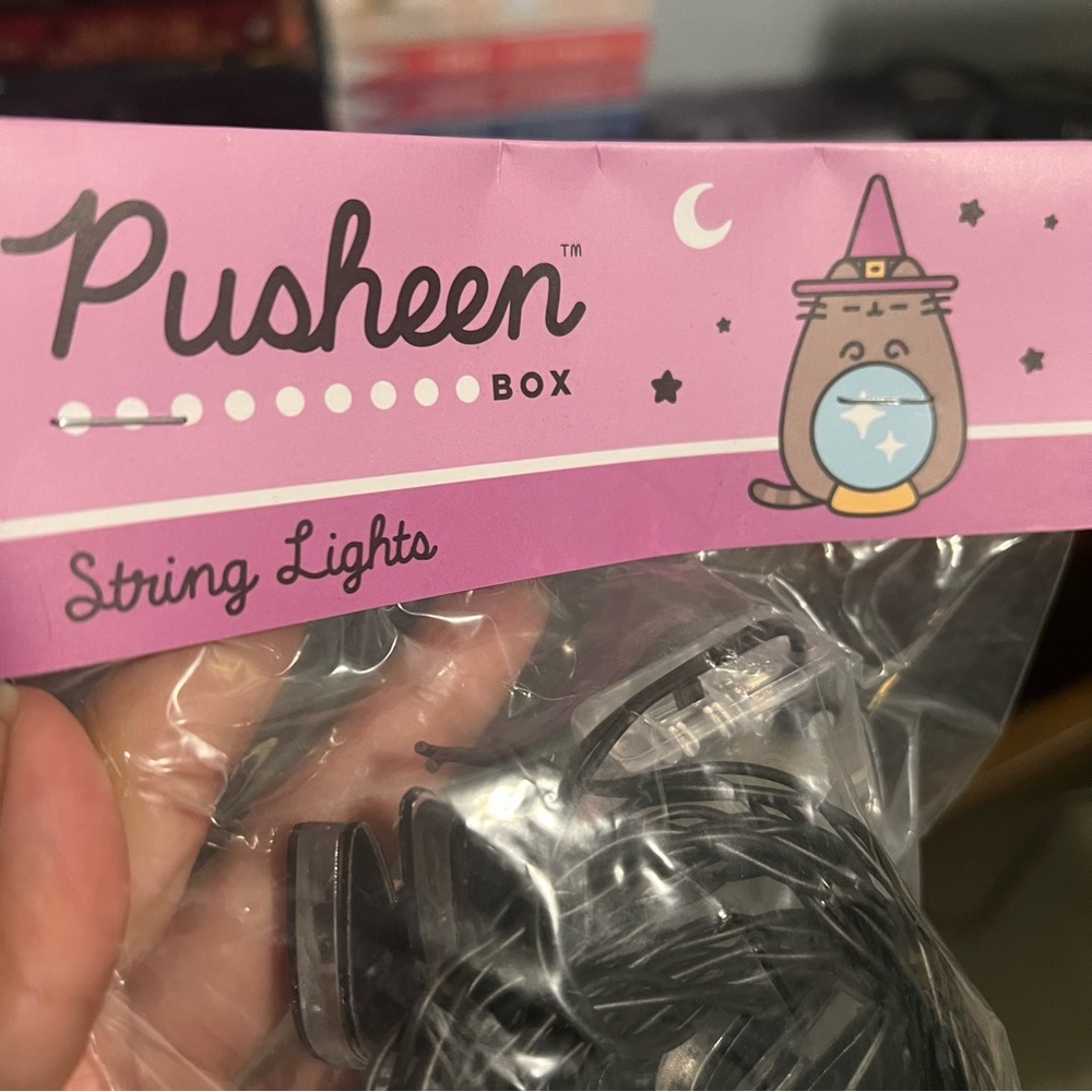 NWT Pusheen Halloween String Lights